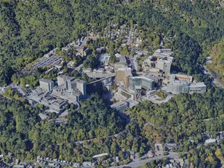 Portland City, OR, USA (2019) 3D Model preview