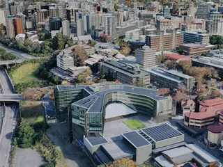 Auckland City, New Zealand (2019) 3D Model preview
