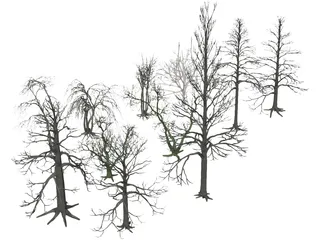 Dead Trees 3D Model preview