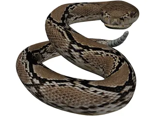 Rattlesnake 3D Model preview