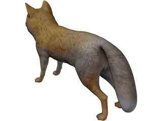 Tibetan Hill Fox 3D Model preview