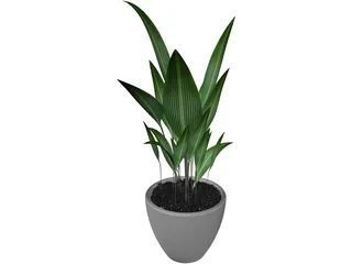 Ficus 3D Model preview