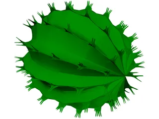 Barrel Cactus 3D Model preview