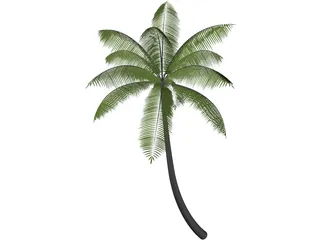 Palm 3D Model preview