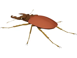 Beetle 3D Model preview