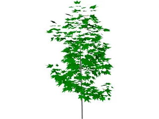Tree 3D Model preview