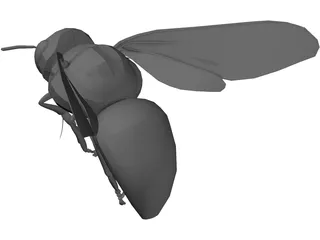 Bee 3D Model preview