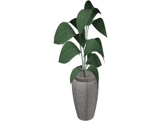 Ficus 3D Model preview