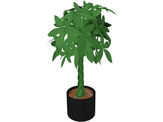 Spatiphylum 3D Model preview