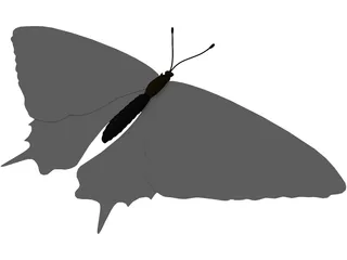 Sallow Tail Butterfly 3D Model preview