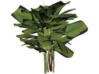 Bamboo Palm 3D Model preview