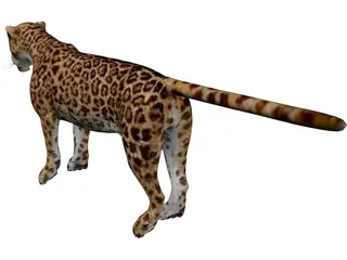 Jaguar 3D Model preview