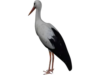 White Stork 3D Model preview