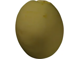 Apricot Fruit 3D Model preview