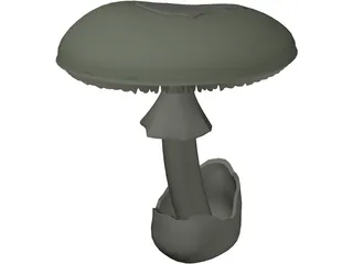 Amanita Phalloides: Death Cap Mushroom 3D Model preview
