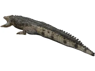 Crocodile 3D Model preview