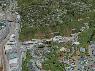 Wellington City, New Zealand (2020) 3D Model preview