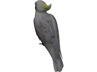 Parrot 3D Model preview