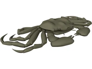 Chinese Mitten Crab 3D Model preview