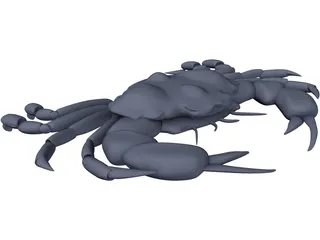 Harris Mud Crab 3D Model preview