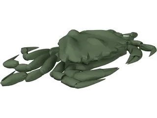 European Green Crab 3D Model preview