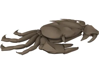 Asian Shore Crab 3D Model preview