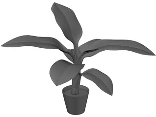 Banana Plant 3D Model preview