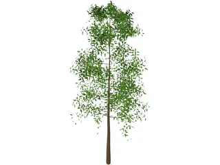 Tree 3D Model preview