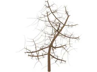 Tree 3D Model preview