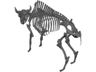 Bull Skeleton 3D Model preview