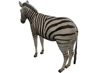 Zebra 3D Model preview