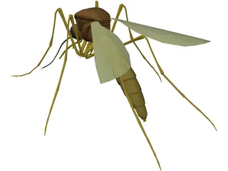 Mosquito 3D Model preview