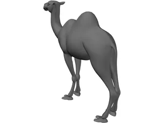 Camel 3D Model preview