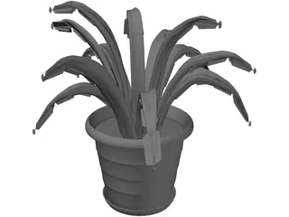 Aloe Plant in a Pot 3D Model preview