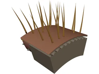 Hair Skin 3D Model preview