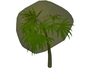 Palm 3D Model preview