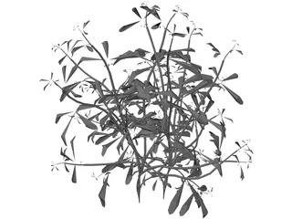 Flower 3D Model preview