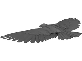 Raven 3D Model preview