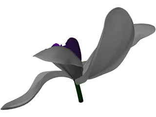 Orchid 3D Model preview
