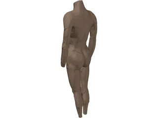 Surface Muscles 3D Model preview