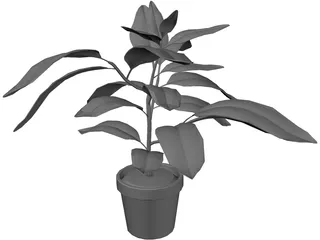 Houseplants 3D Model preview