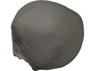 Skull Detailed 3D Model preview