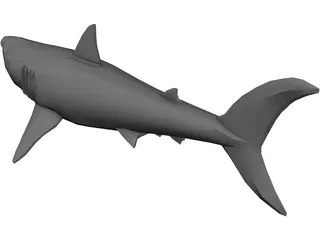 Shark Great White 3D Model preview