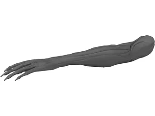Arm Muscles 3D Model preview