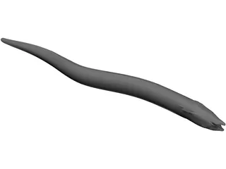 Moray Eel 3D Model preview
