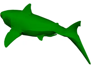 Shark 3D Model preview