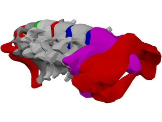 Vertebrae Cervical 3D Model preview