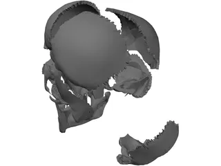 Skull Articulated 3D Model preview