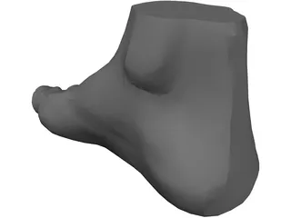 Foot 3D Model preview