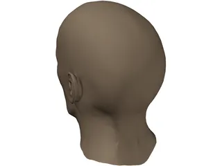 Head Male 3D Model preview